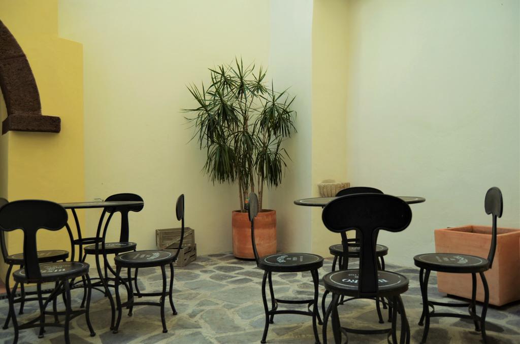 Studios Funchal By Petit Hotels المظهر الخارجي الصورة